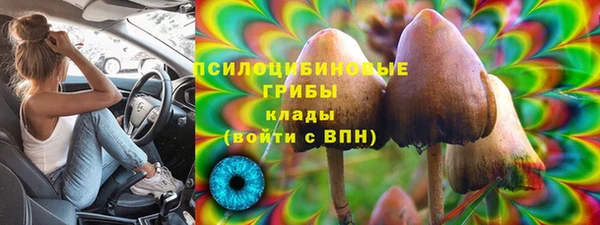 соль ск Балахна