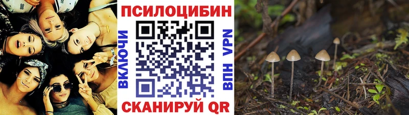 Псилоцибиновые грибы Psilocybine cubensis  mega ONION  Северо-Курильск 